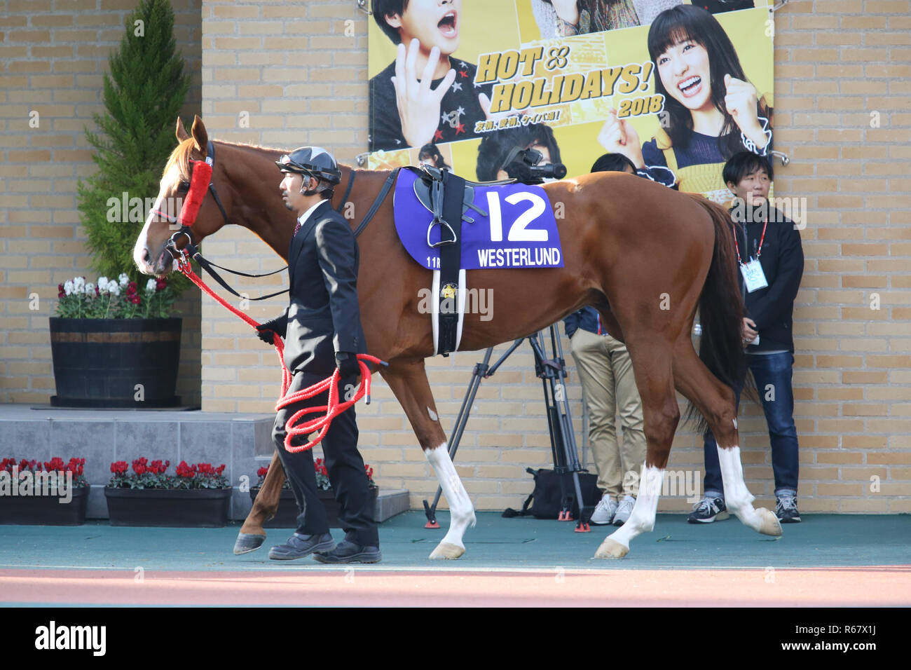 Aichi, Japan. 2nd Dec, 2018. Westerlund Horse Racing : Westerlund is led through the paddock before the Champions Cup at Chukyo Racecourse in Aichi, Japan . Credit: Eiichi Yamane/AFLO/Alamy Live News Stock Photo