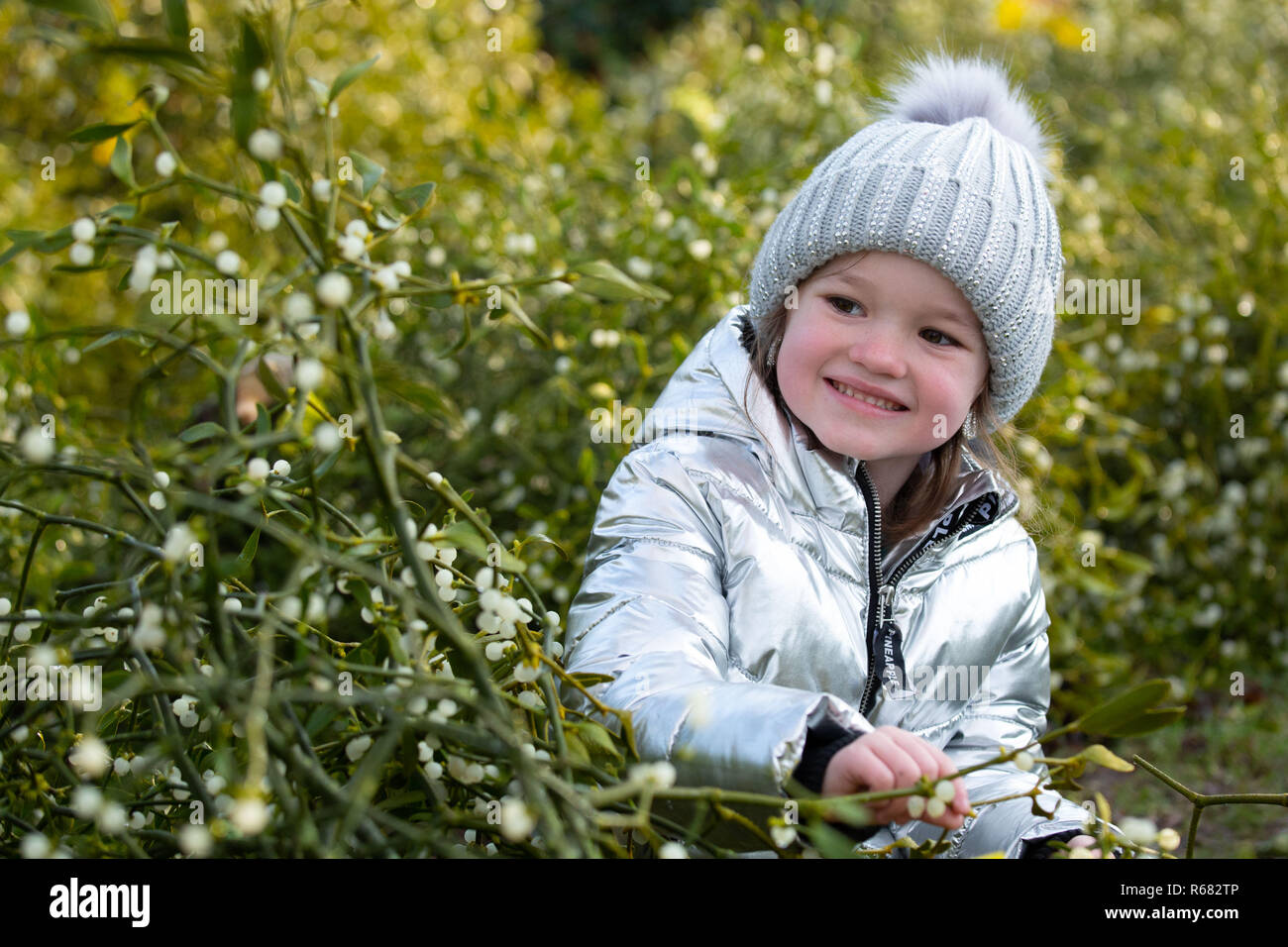 Tenbury Wells, England, UK. 4th, December,2018. Pictured, Chanel Bassett (6) in amongst the bushes of mistletoe for sale. The annual mistletoe and holly auctions have been taking place for over 160 years in Tenbury Wells. The auctions are held at Burford Hall Gardens and attract buyers from all over the UK. Credit: David Warren/Alamy Live News Stock Photo