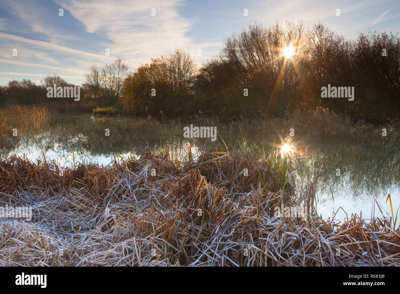 Barton-upon-Humber, North Lincolnshire. 4th Dec 2018. UK Weather: A frosty start to the day after sub-zero over-night temperatures at a Lincolnshire Wildlife Trust Nature Reserve. Barton-upon-Humber, North Lincolnshire, UK. 4th December 2018. Credit: LEE BEEL/Alamy Live News Stock Photo