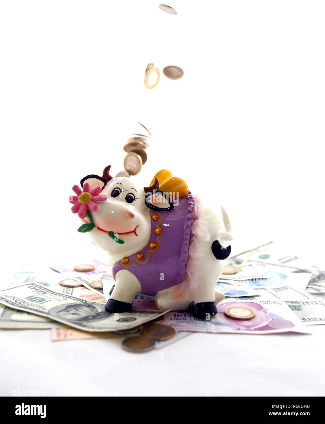 Cow coin bank Stock Photo