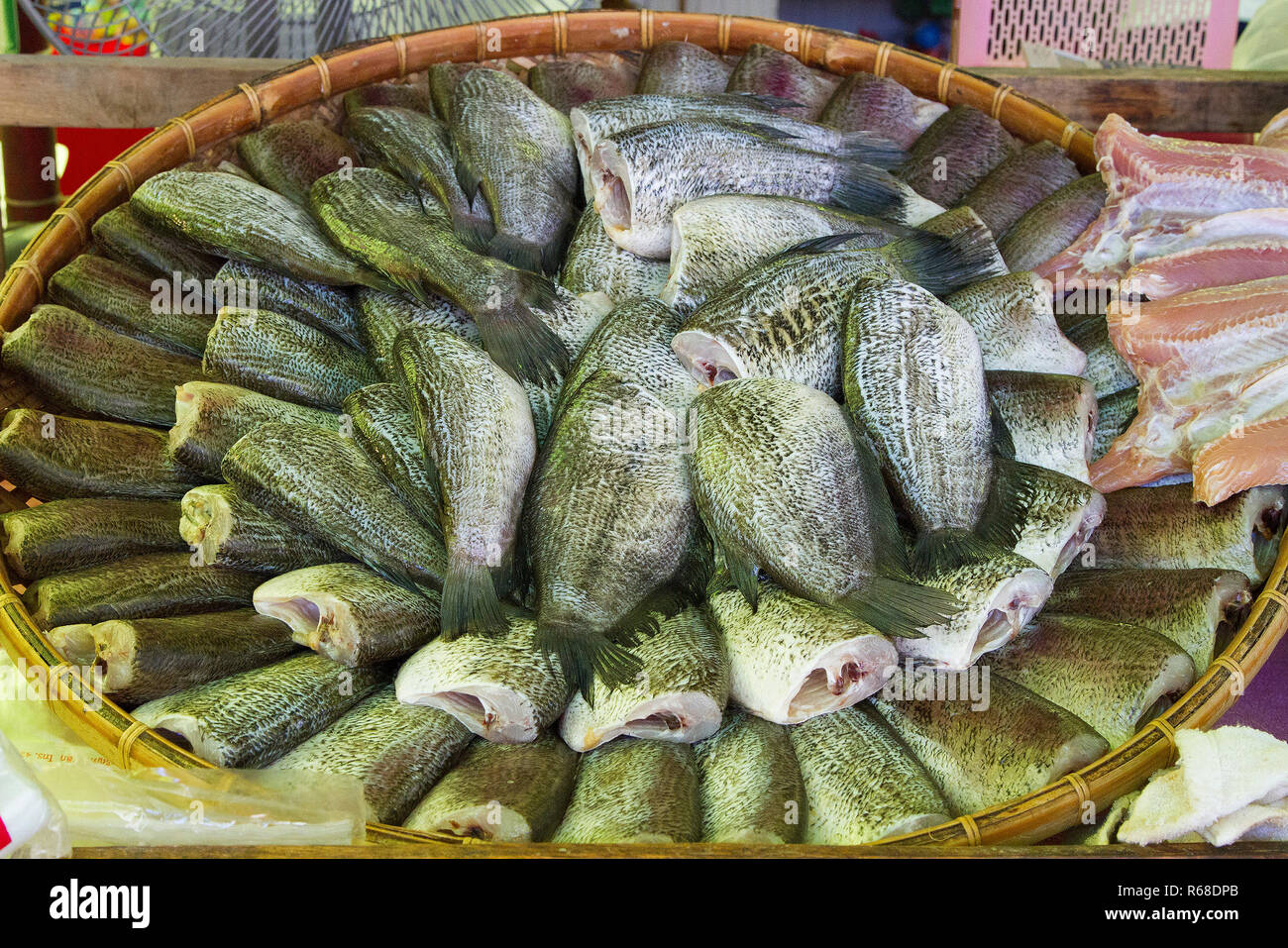 Trichogaster pectoralis arrange on rattan in market in asian food thai food (Fish) Stock Photo