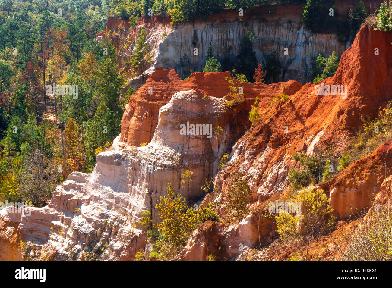 Little Grand Canyon (Providence Canyon State Park) in Lumpkin,