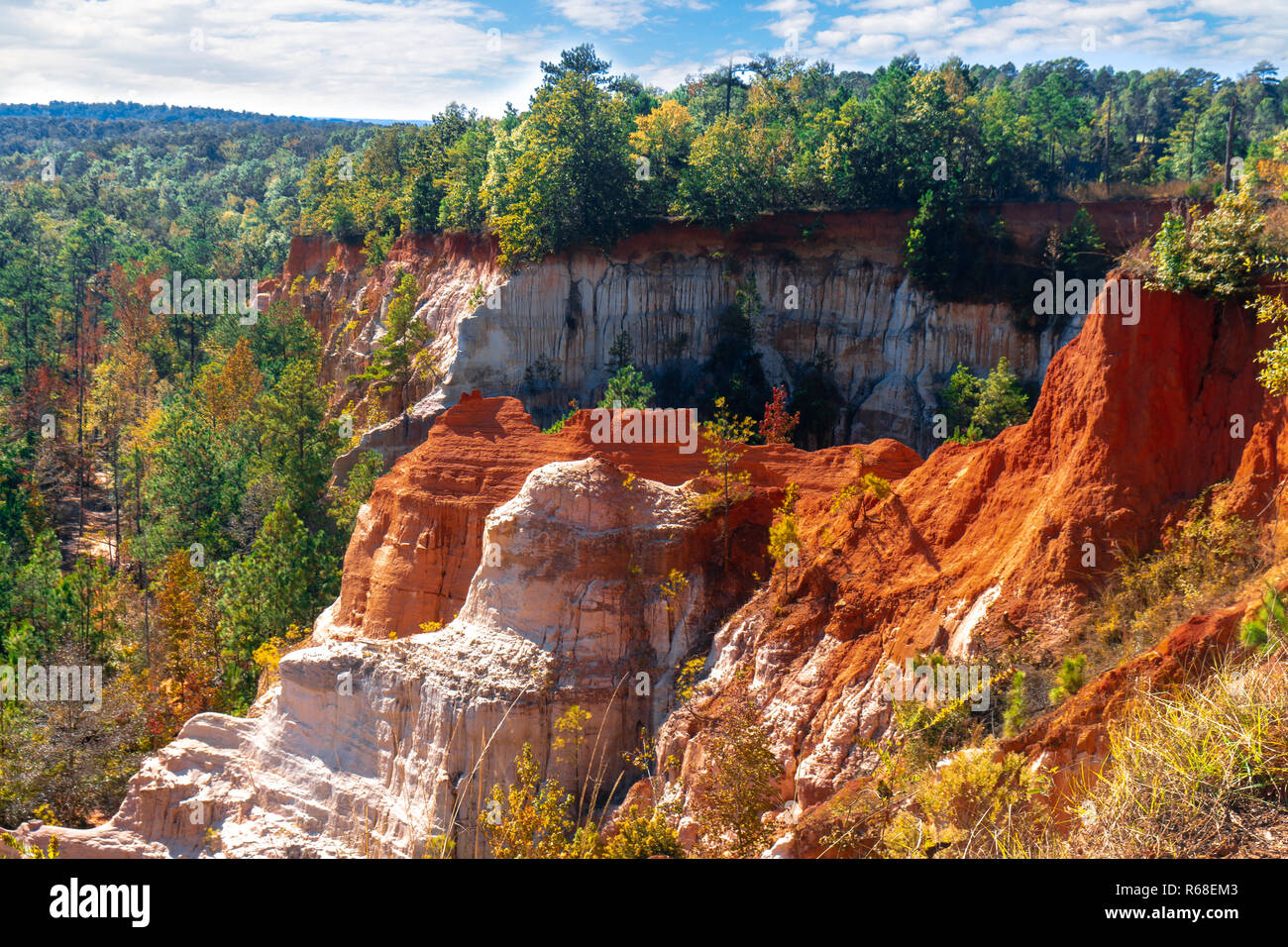 Little Grand Canyon (Providence Canyon State Park) in Lumpkin,