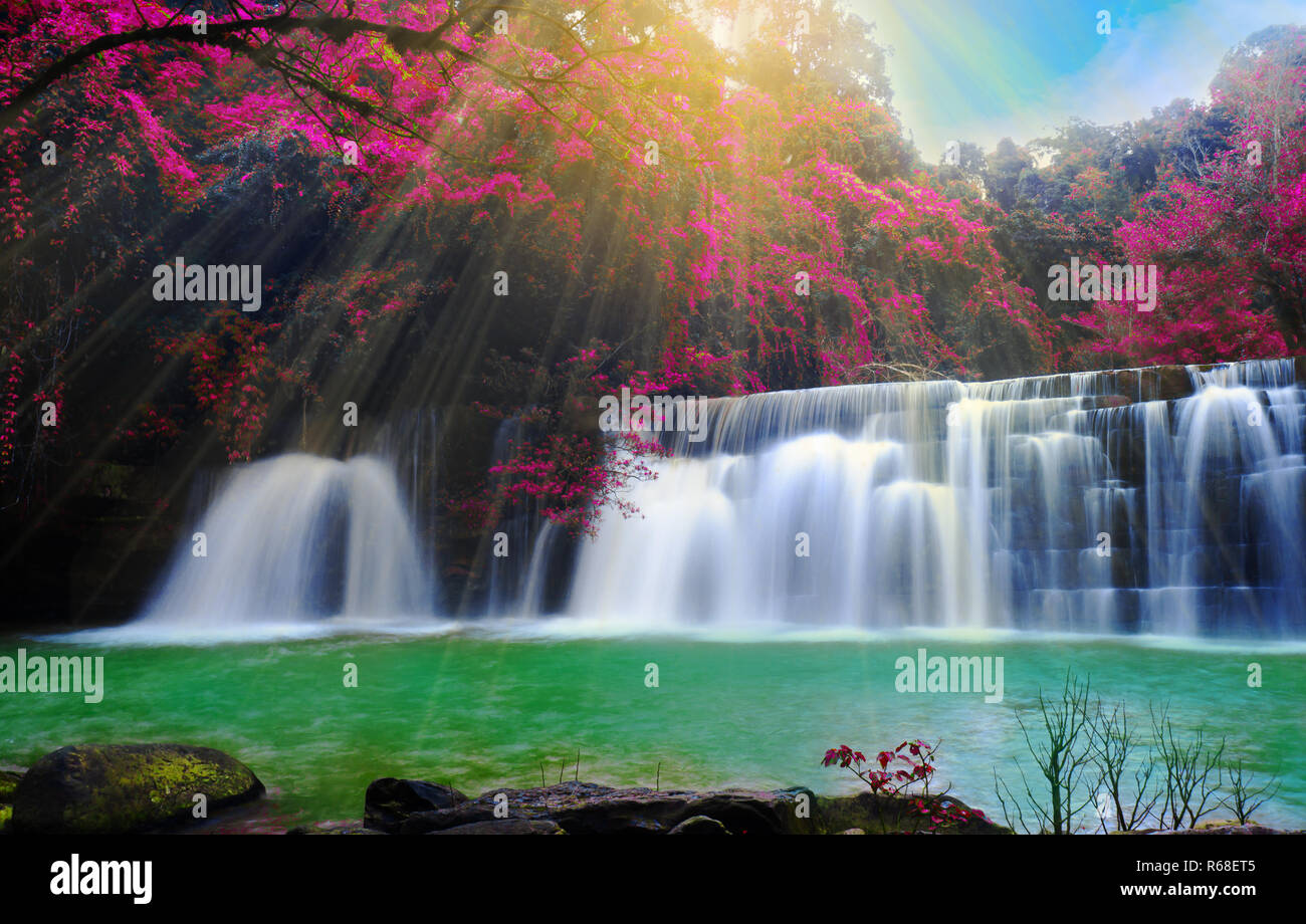Waterfall in wonderful deep forest at Petchaboon province,Thailand. Stock Photo