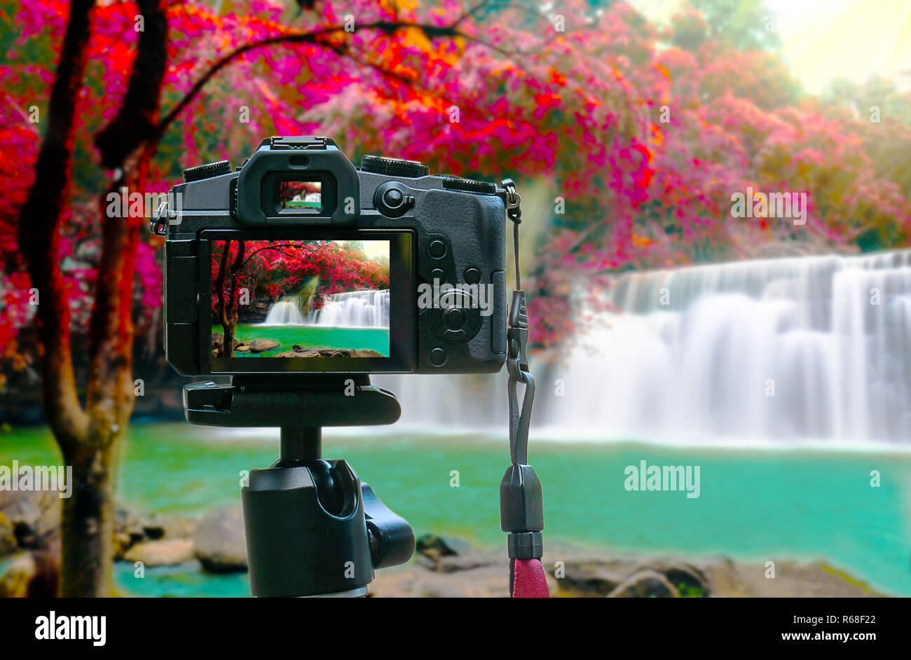 Photo of beawtiful waterfall on camera display while shooting Stock Photo