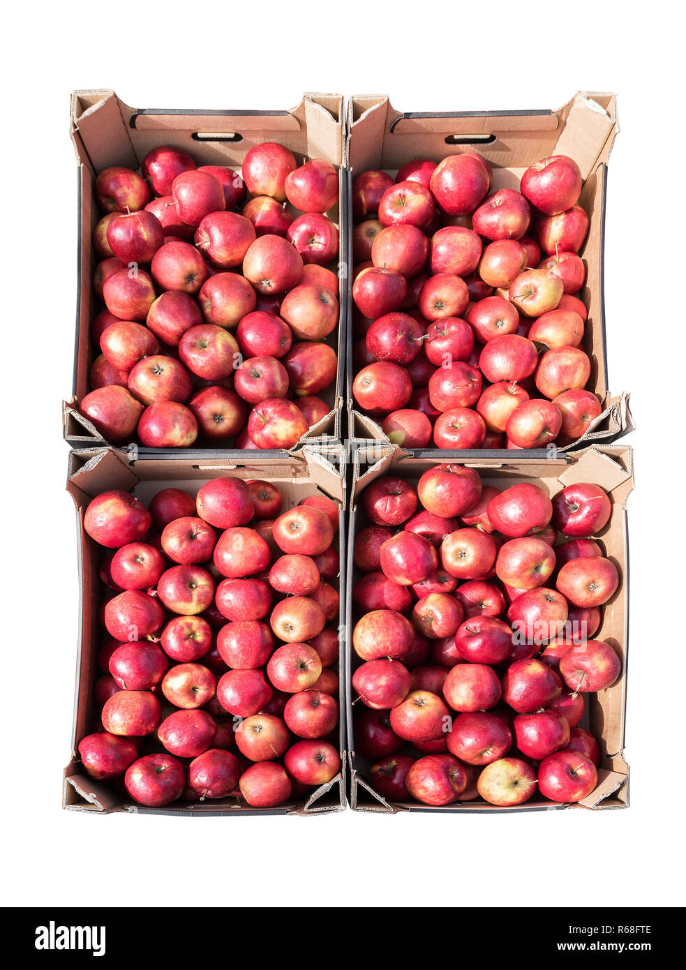 red organic apples in four cardboard boxes isolated on a white background, harvest and farmer's market concept, selected focus Stock Photo