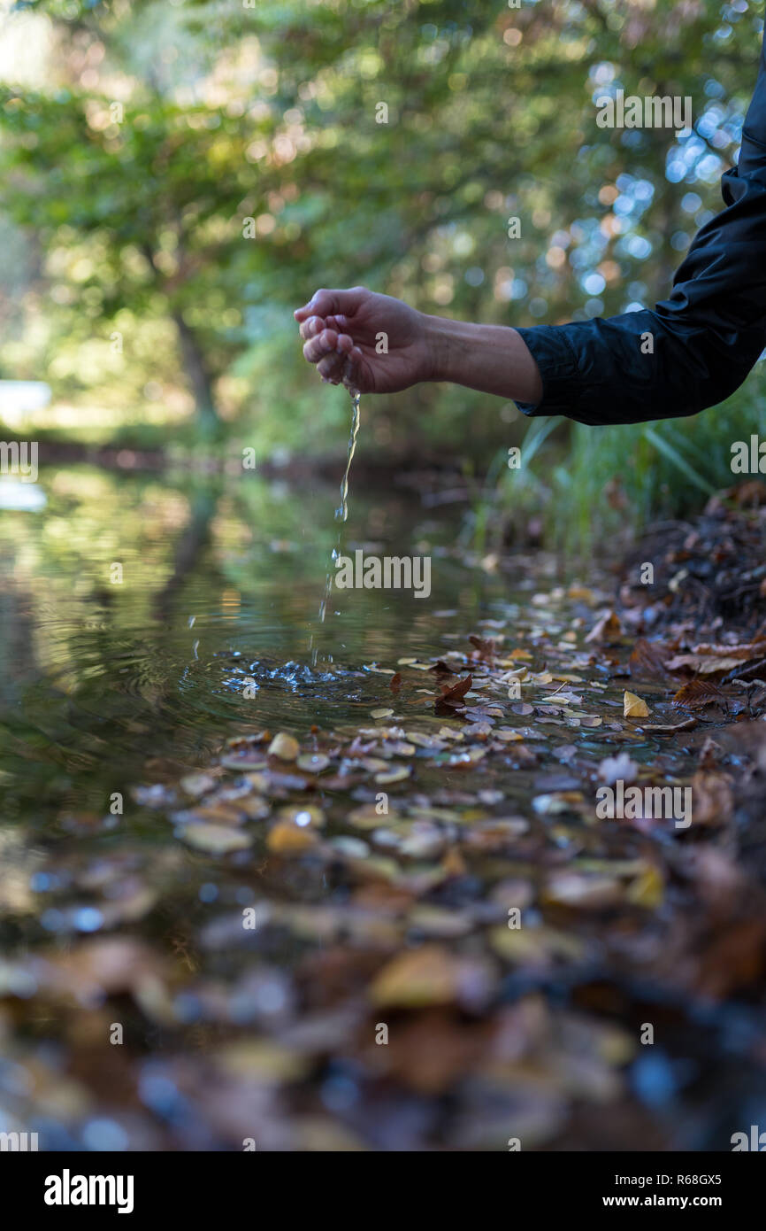 Male hand in a natural lake with autumn leaves. With motion blur. Stock Photo