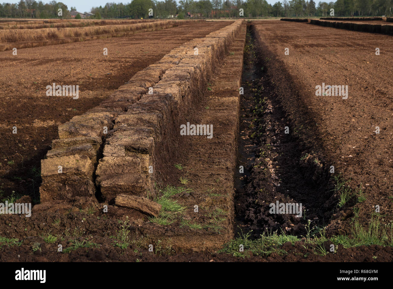 industrial peat extraction with a ditch and piled turf blocks, nature destruction of a raised bog landscape in the Venner Moor, Lower Saxony, Germany, Stock Photo