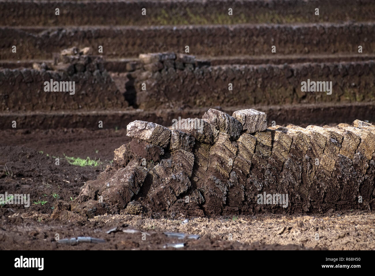 peat extraction, turf blocks piled up to dry, industrial nature destruction of a raised bog, Venner Moor, Lower Saxony, Germany, selected focus Stock Photo