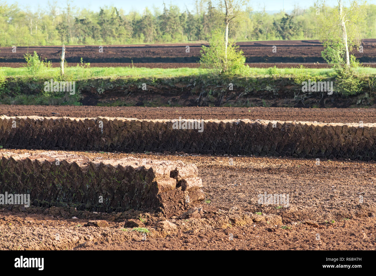 Turf block piles, industrial peat extraction on a raised bog landscape, nature destruction in the Venner Moor, Lower Saxony, Germany, selected focus Stock Photo