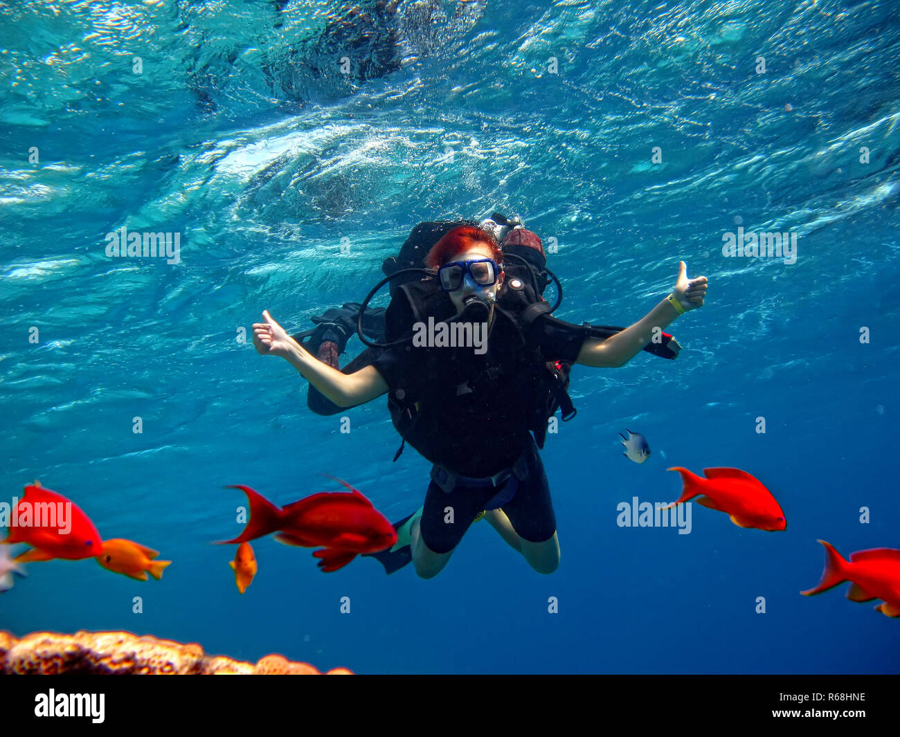 Scuba diver nature hi-res stock photography and images - Alamy