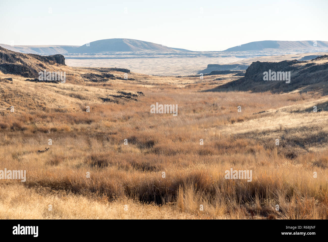The scablands of Eastern Washington. Stock Photo