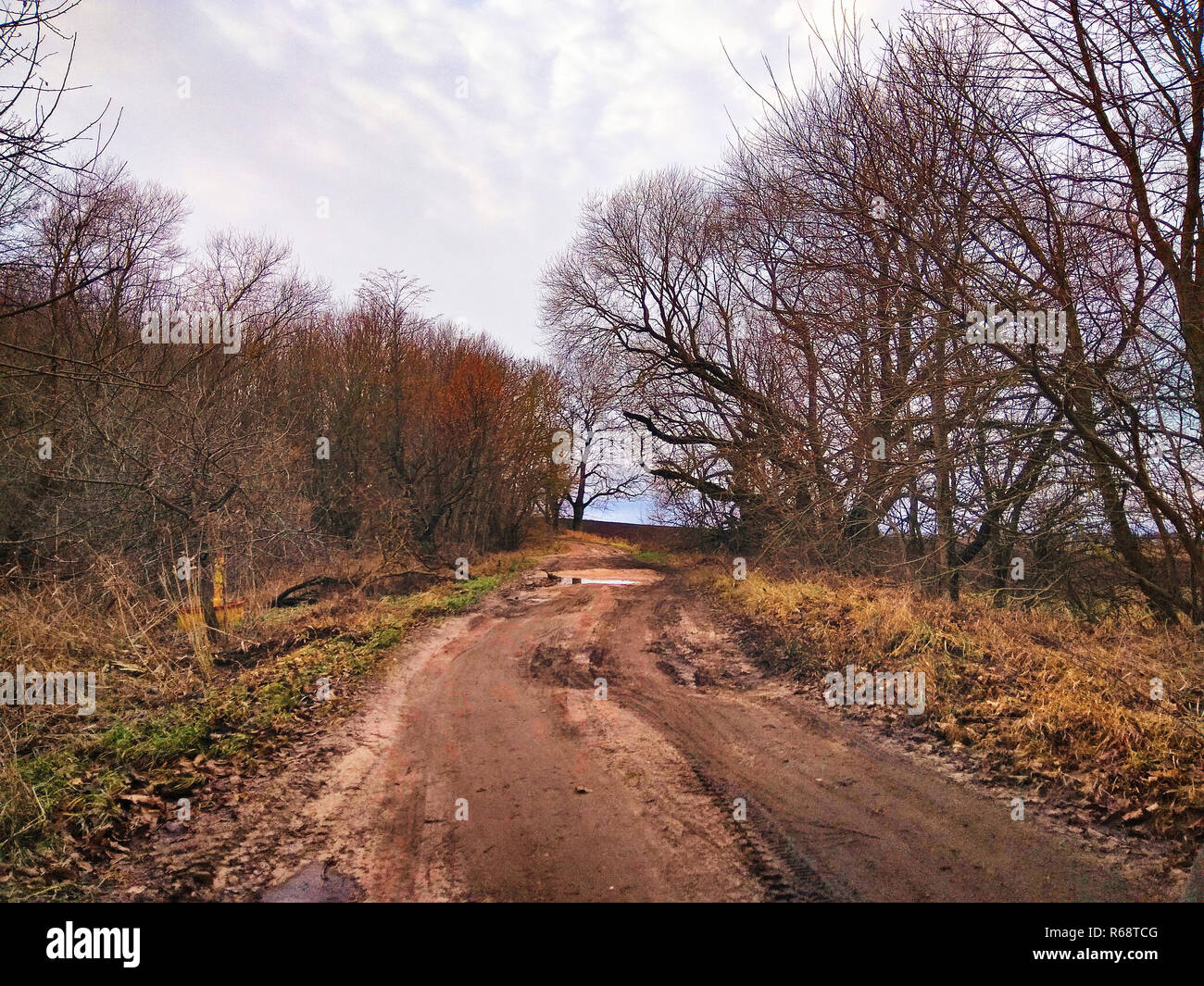 Rural road in nice scenery hi-res stock photography and images - Alamy