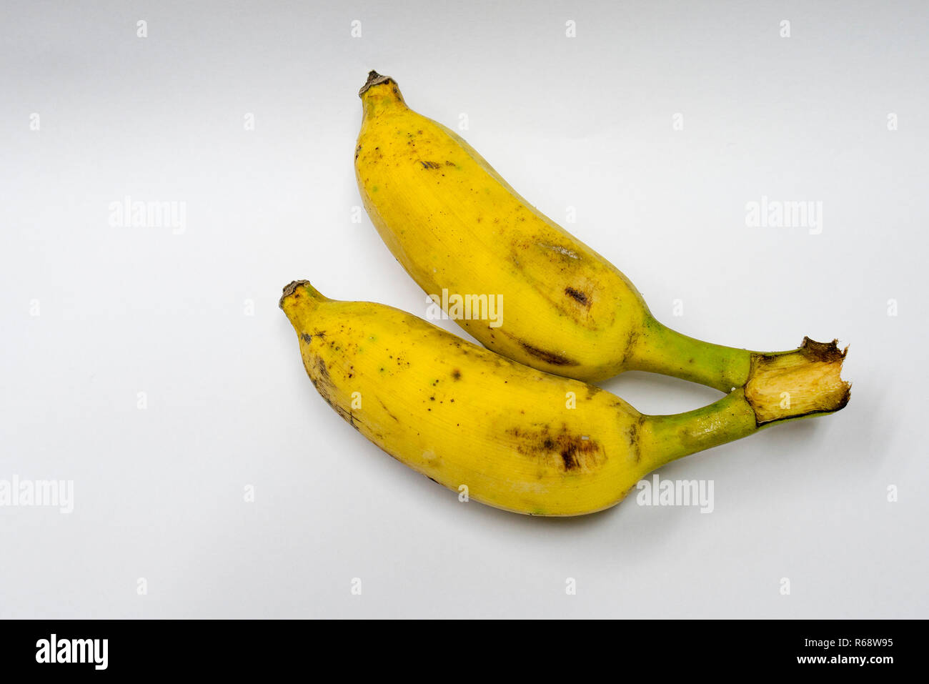Two bananas ripened on a white background. Stock Photo