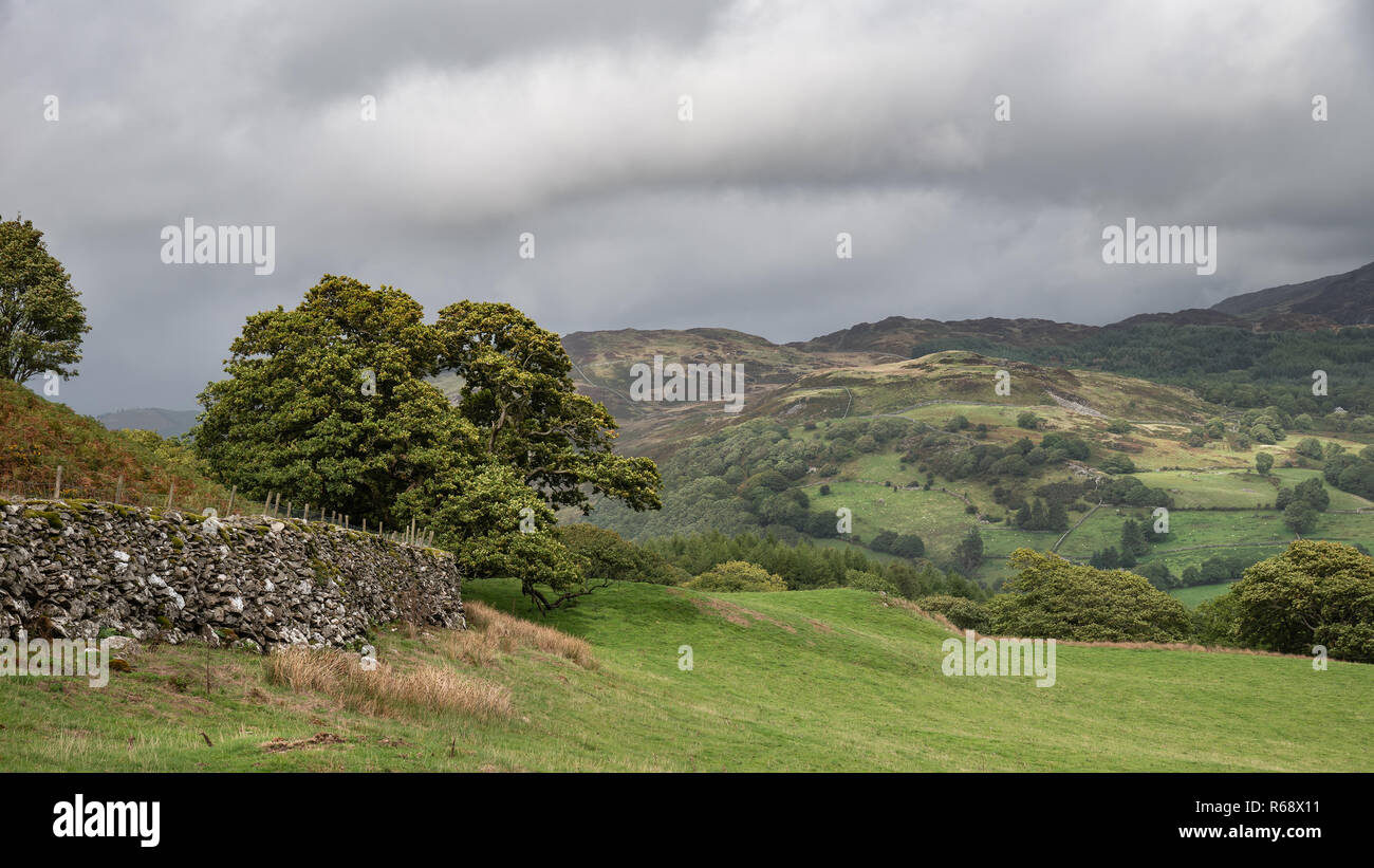 Beautiful landscape image of view from Precipice Walk in Snowdonia overlooking Barmouth and Coed-y-Brenin forest during rainy afternoon in September Stock Photo
