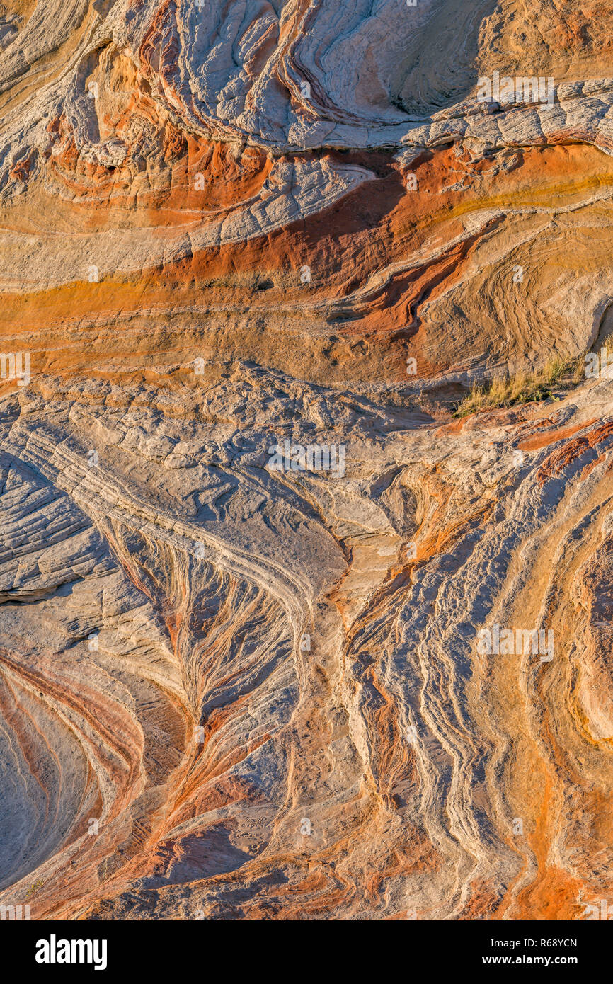 Sandstone Erosion, Vermillion Cliffs National Monument, Paria Plateau, Arizona Stock Photo