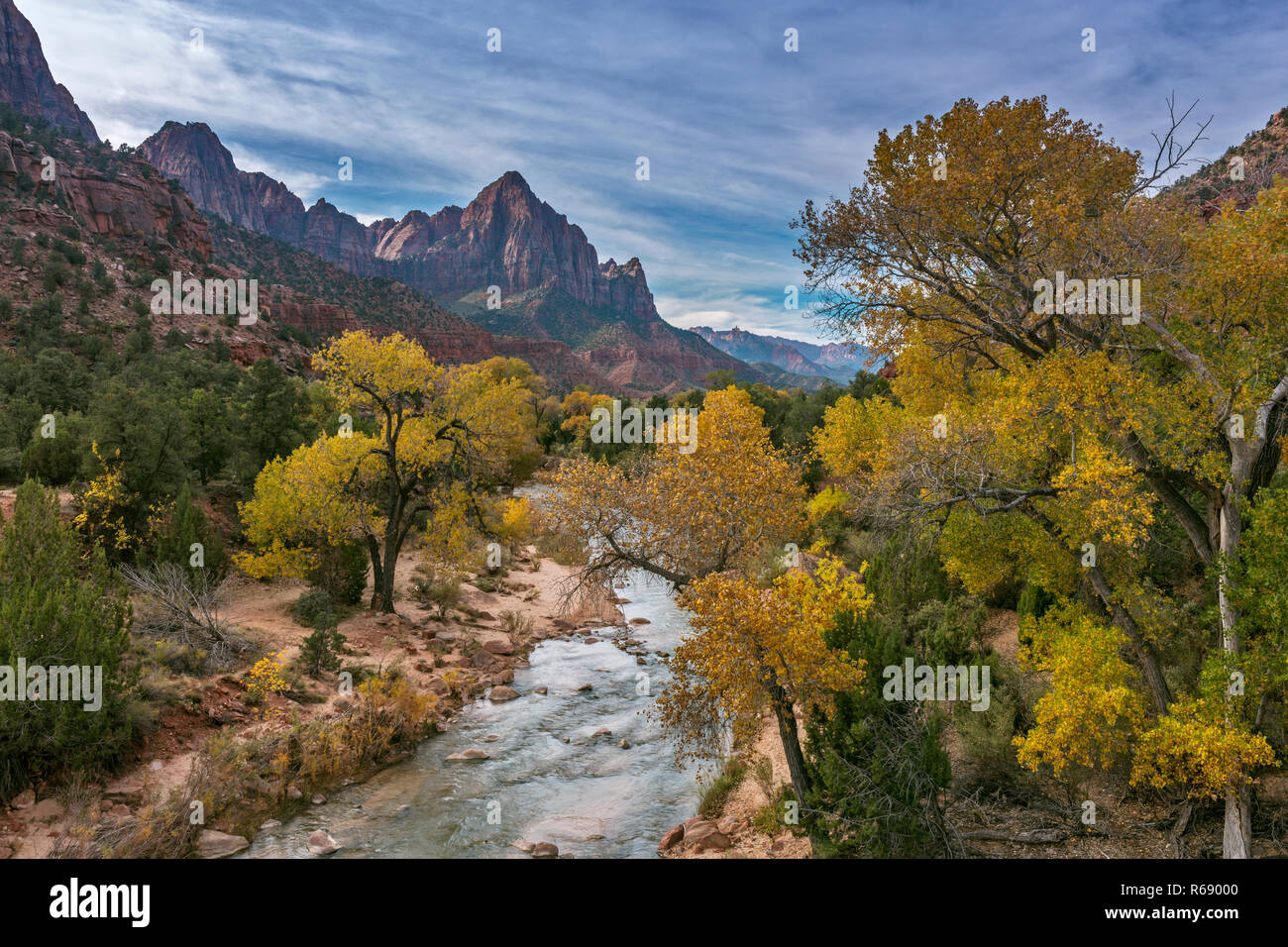 Virgin River, Cottonwoods, The Watchman, Zion National Park, Utah Stock Photo