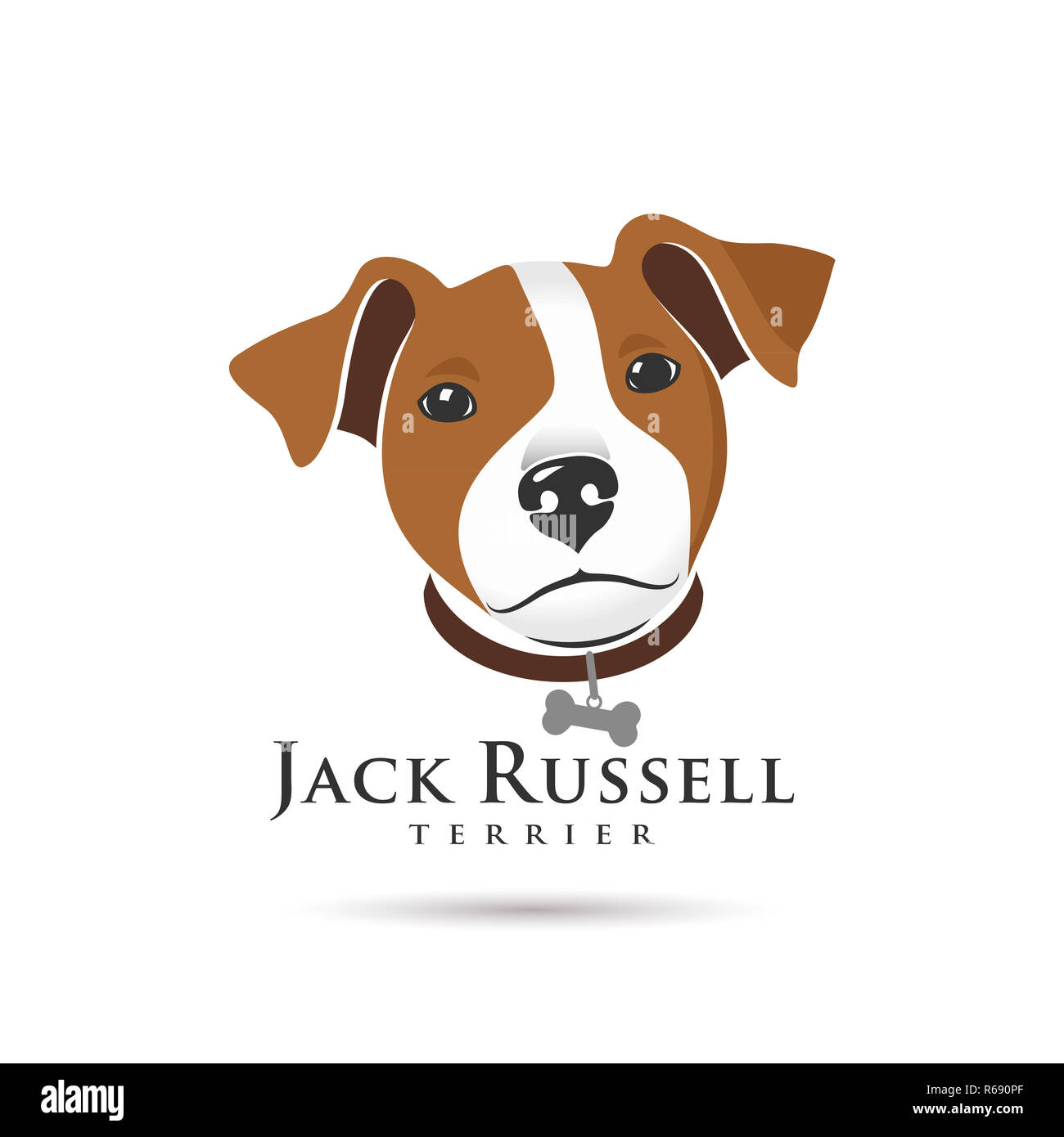 Jack Russell Terrier Head Stock Photo Alamy