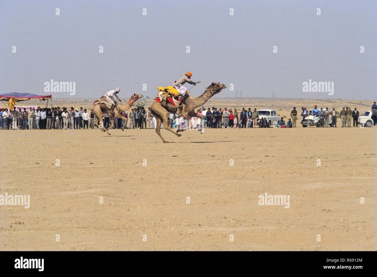 Camel Race, Jaisalmer, Rajasthan, India, Asia Stock Photo