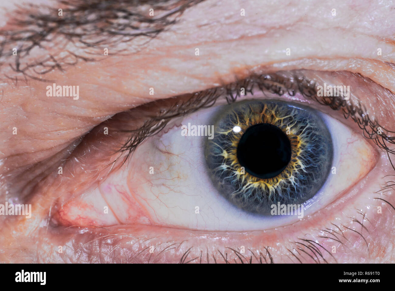 Extreme close up of an older man's eye with a grey iris with a golden