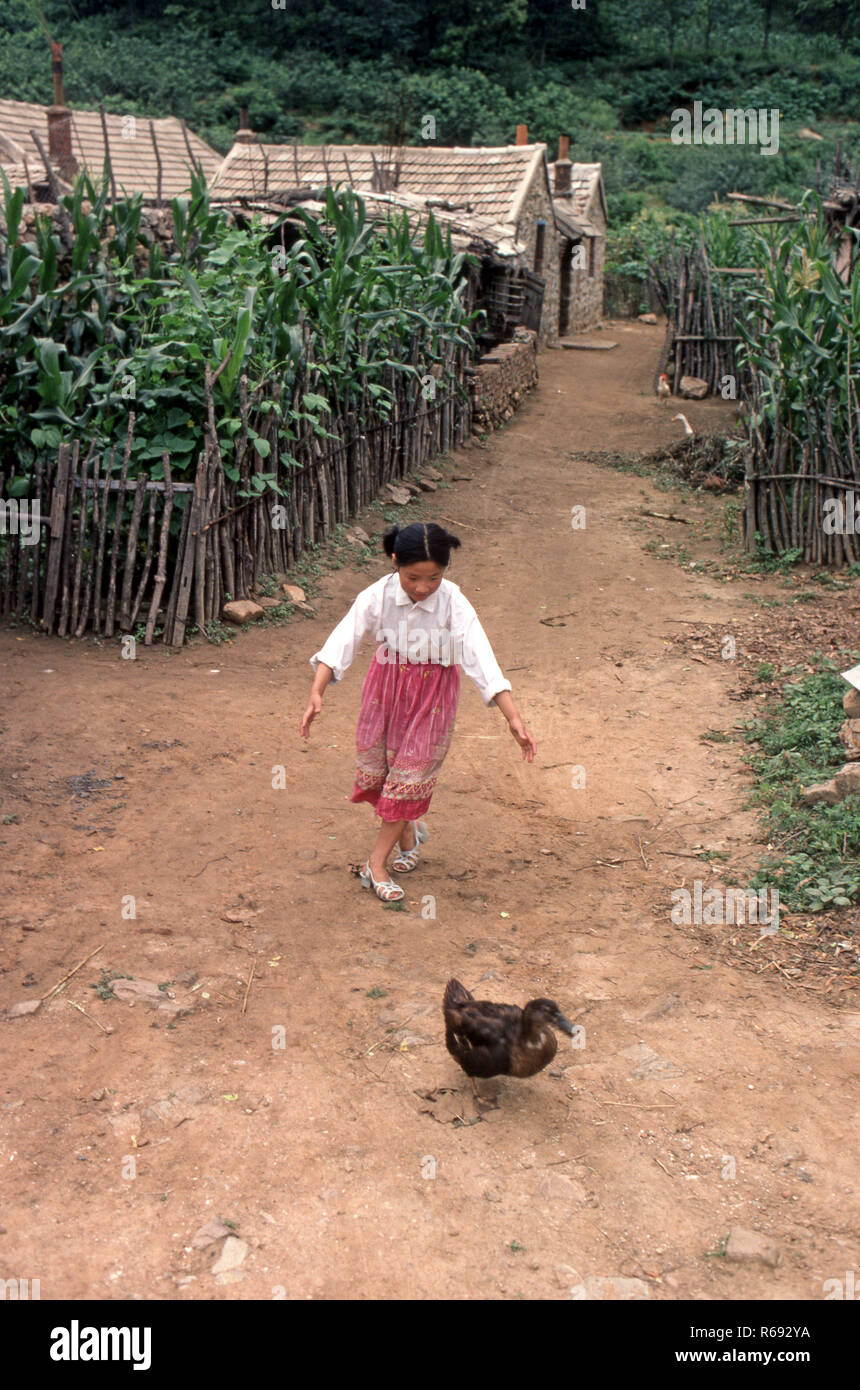 Northern China 1980 Commune in Waoning Province with stone houses where young girl chases a duck Stock Photo