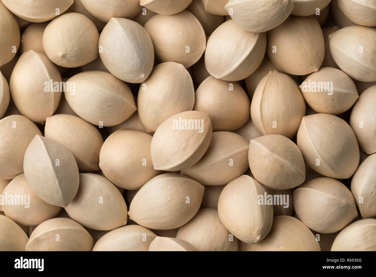 Fresh raw ginkgo biloba nuts close up full frame Stock Photo Alamy