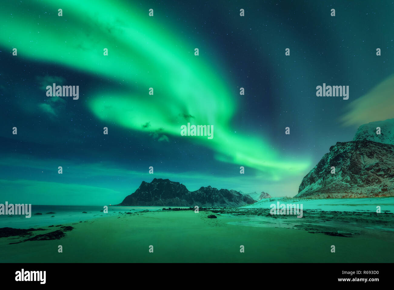 Northern lights in Lofoten islands, Norway. Green aurora borealis ...