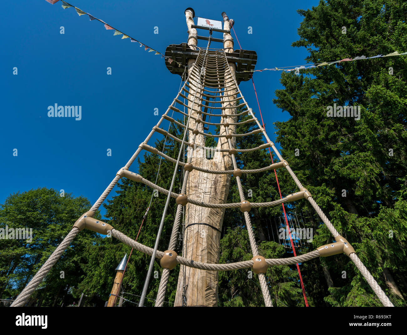 Climbing Stock Photo