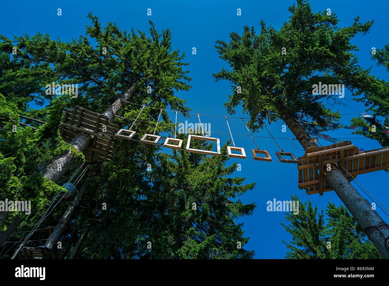 Climbing Stock Photo