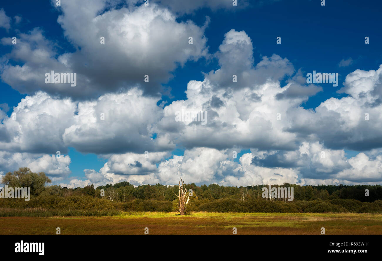 Cloud Stock Photo