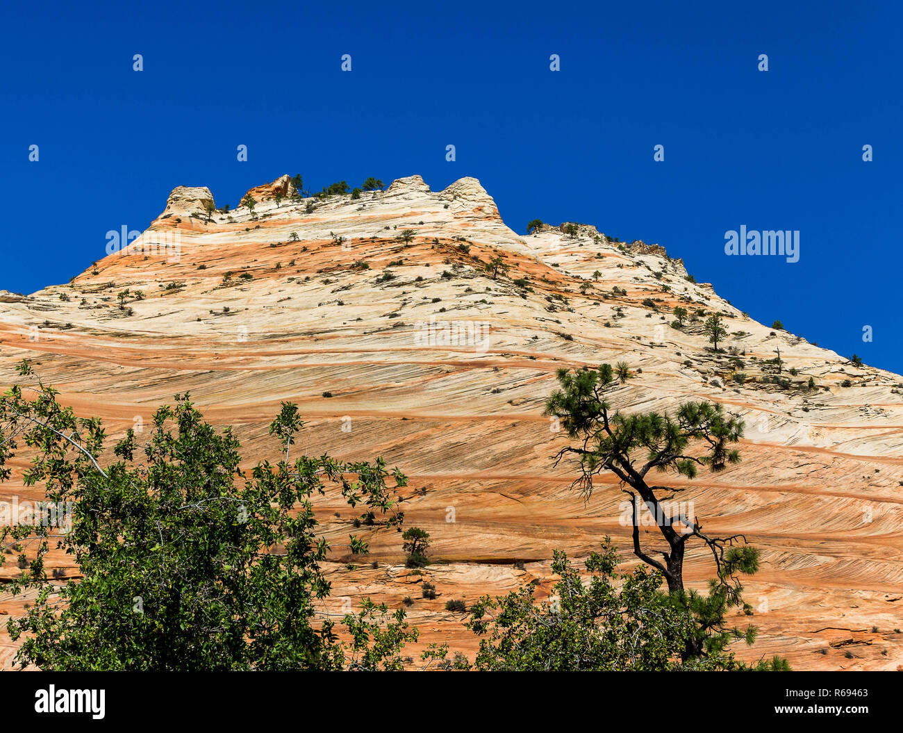 Red Rock Canyon Stock Photo Alamy