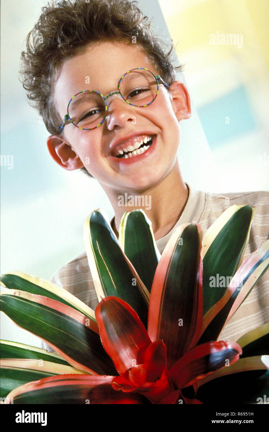 Portrait, Indoor, 6 jahre alter braun gelockter Junge mit bunter Brille mit Blumentopf Stock Photo