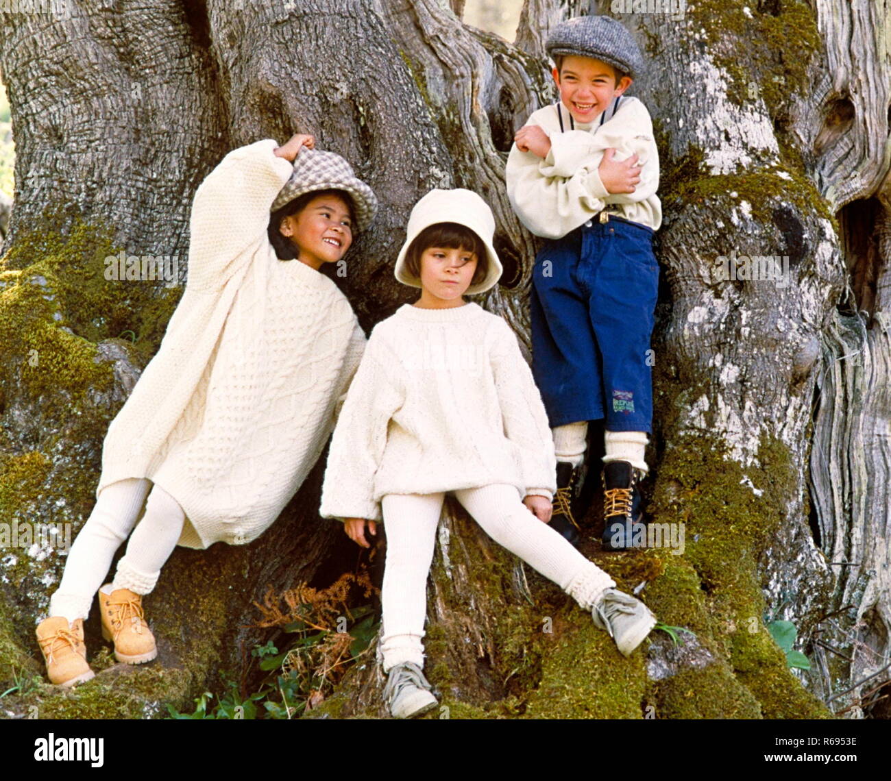 Portrait, 3 Kinder mit weissen Pullovern und Muetze vor einem Baumriesen Stock Photo