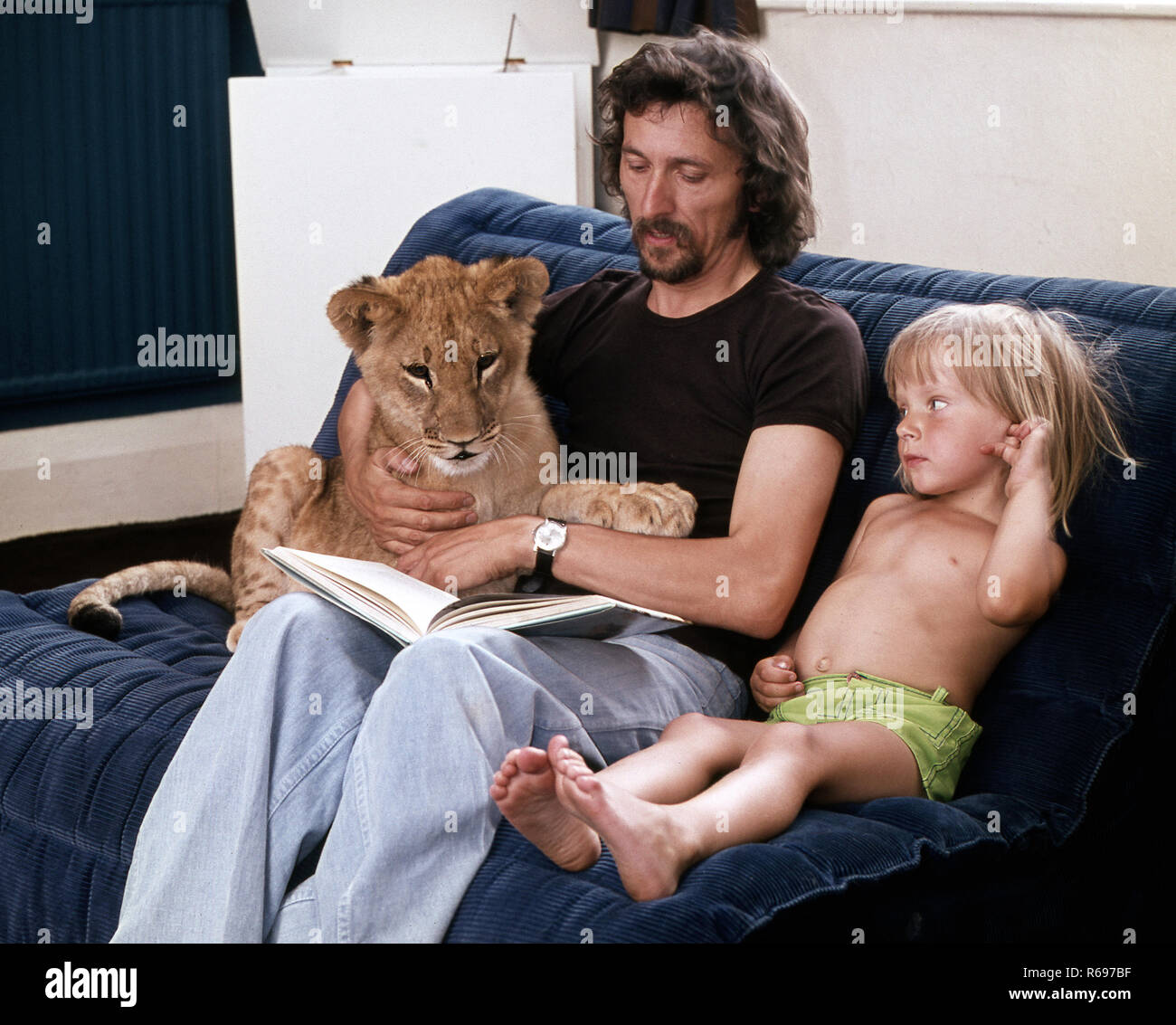 Hand feeding lion cub Stock Photo