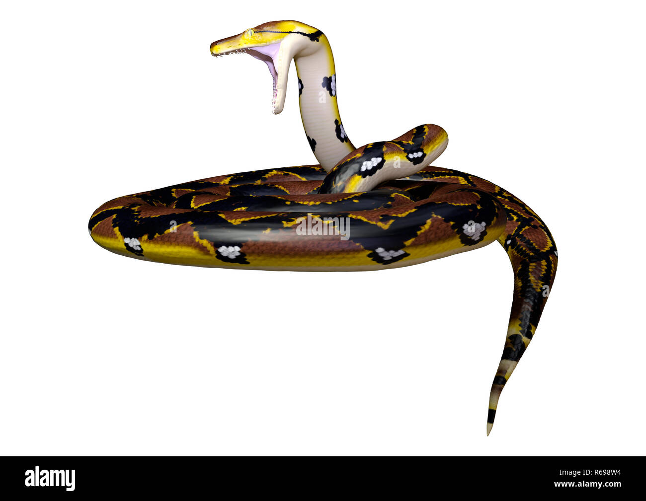 3D Rendering Reticulated Python on White Stock Photo