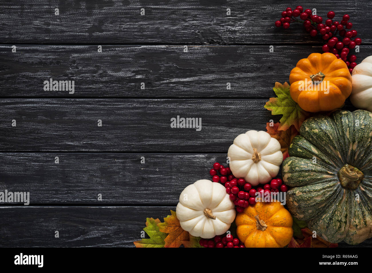 November thanksgiving hi-res stock photography and images - Alamy