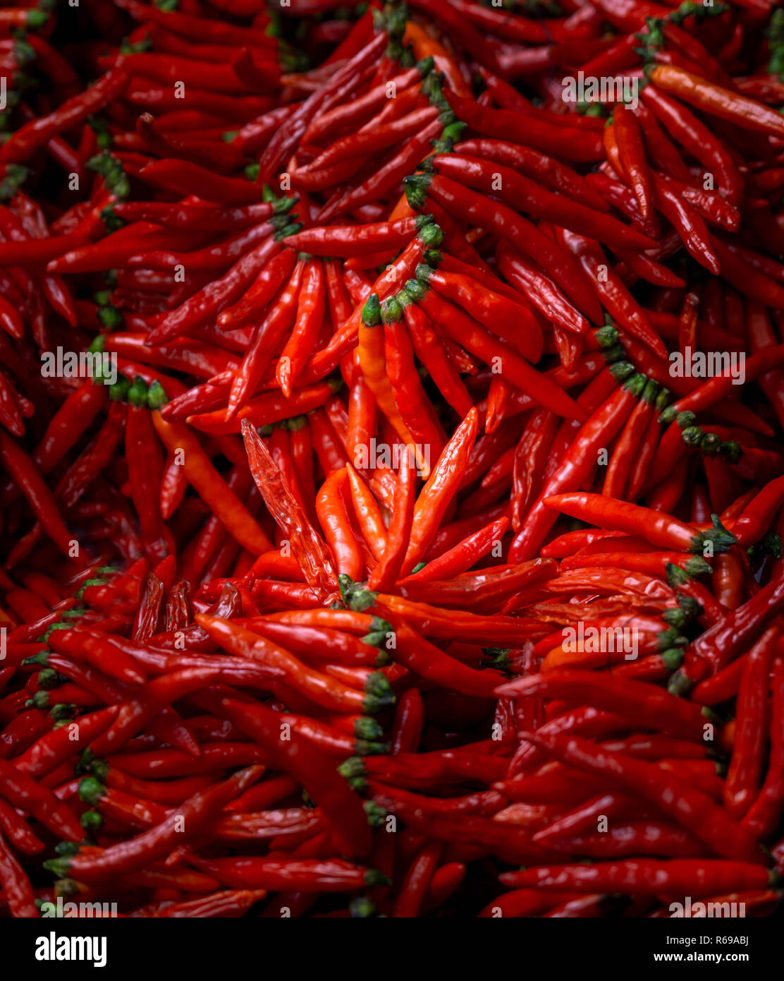 Red Chilli Stock Photo