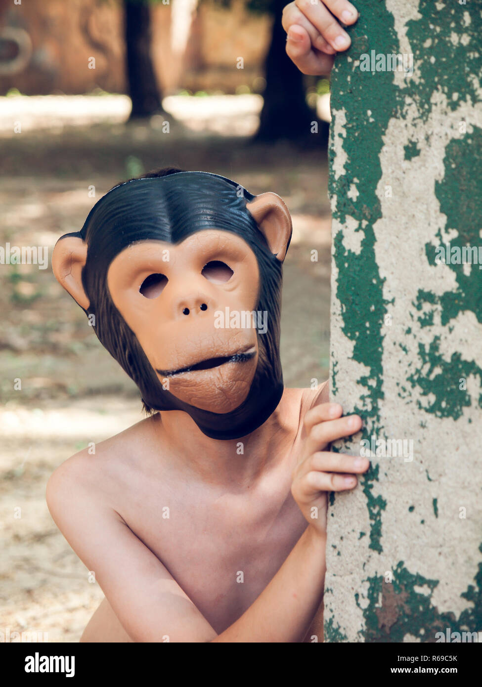 Monkey Mask High Resolution Stock Photography And Images Alamy