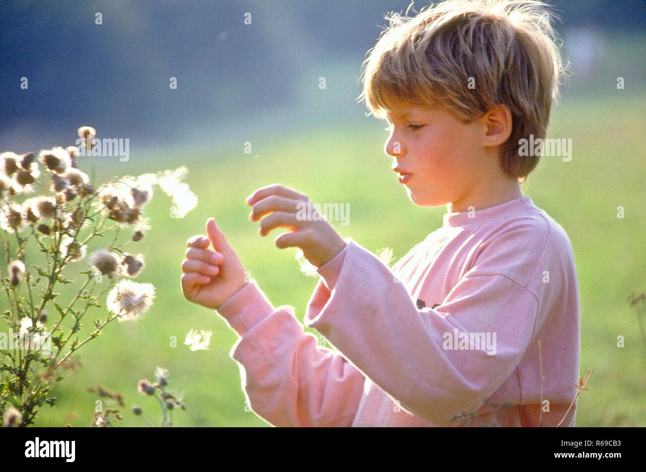 Portrait, blonder Junge betrachtet in der Natur interessante Graeser Stock Photo