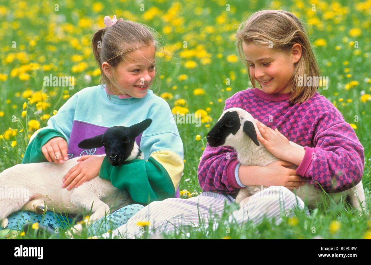 Portrait, 2 Maedchen, 8 Jahre, spielen mit 2 Laemmern auf Wiese Stock