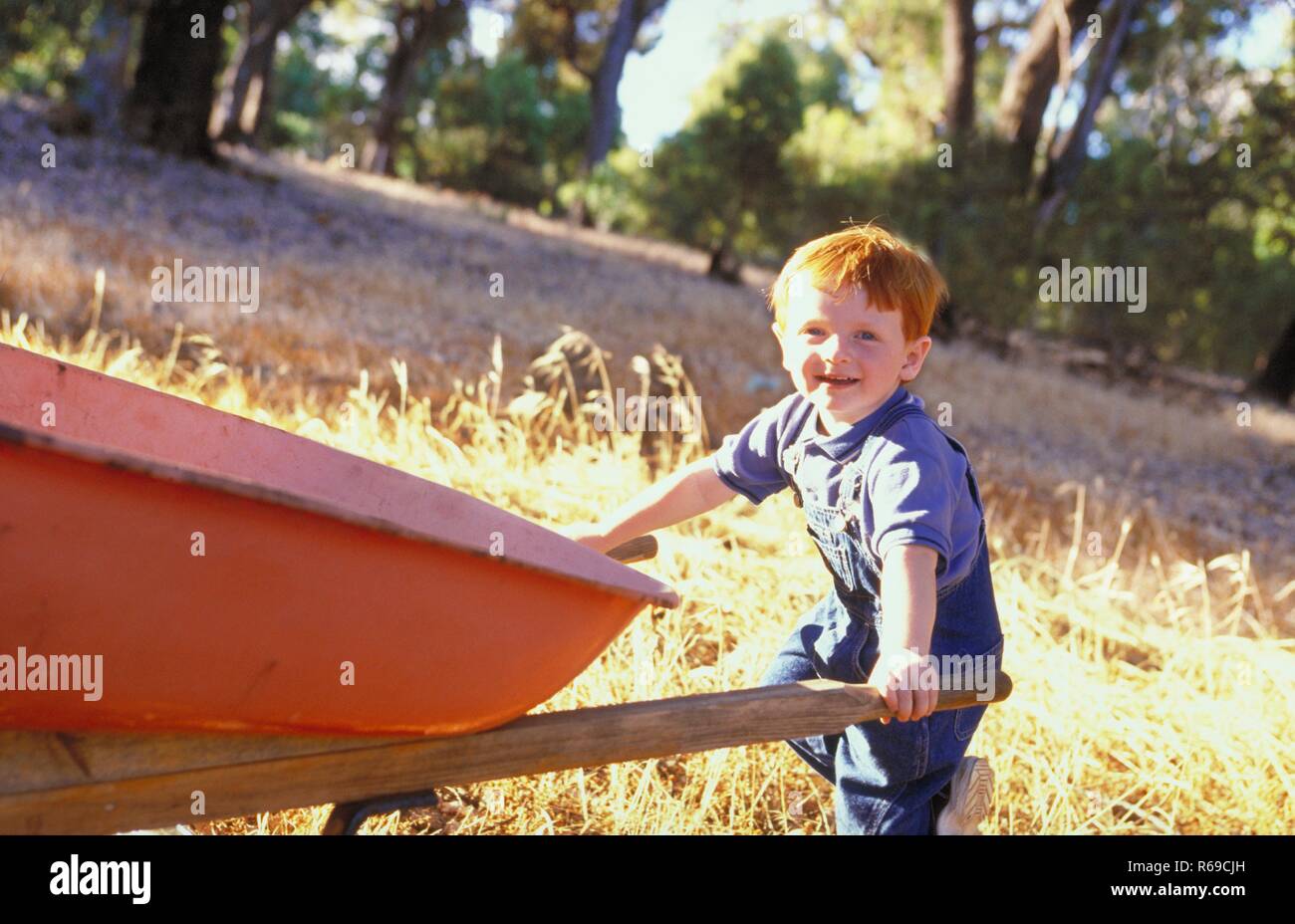 Portrait, Ganzfigur, rothaariger Junge, 4 Jahre, bekleidet mit Jeans und Turnschuhen schiebt eine rote Schubkarre ueber eine Wiese Stock Photo