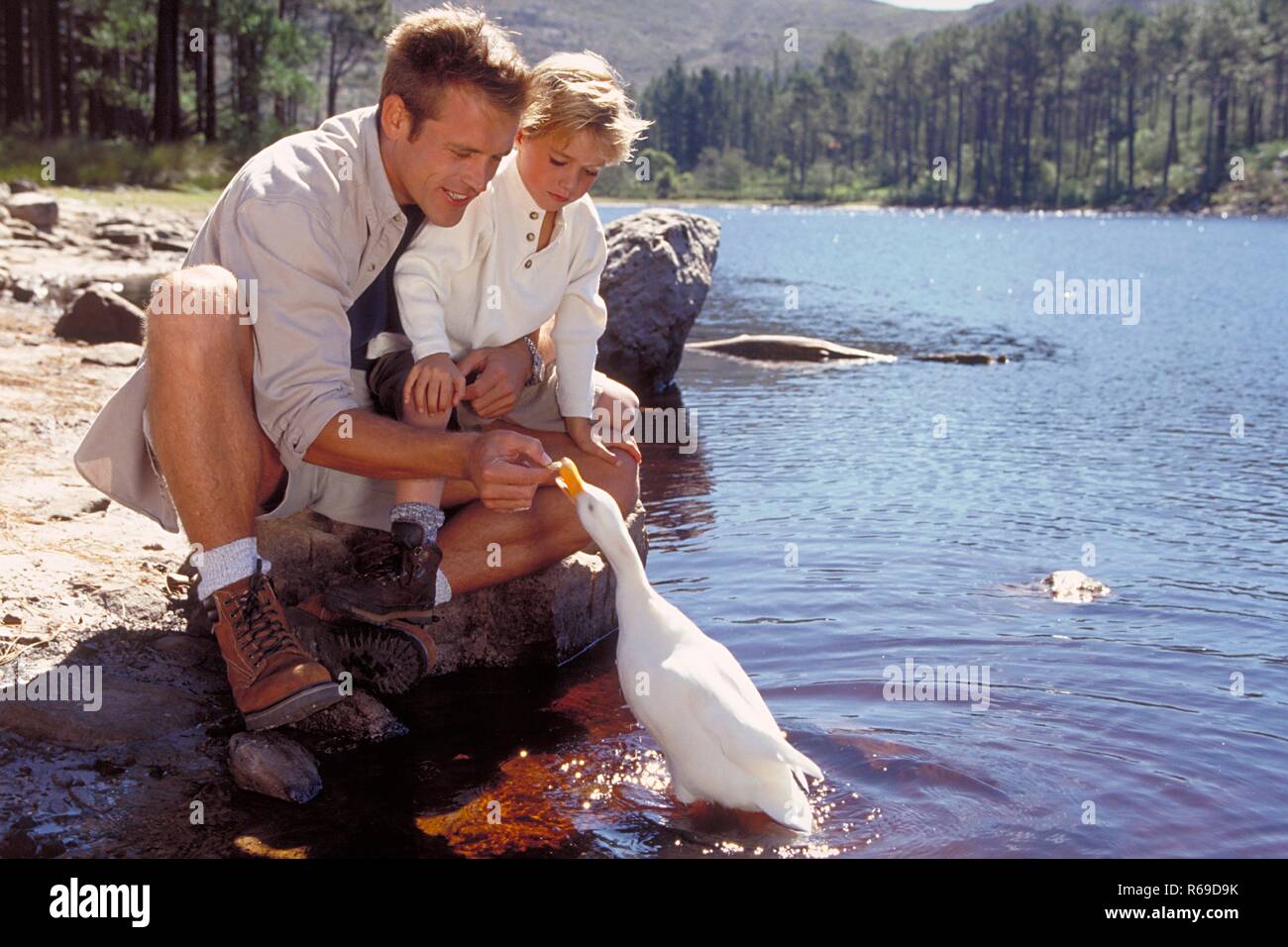 Outdoor, 6 Jahre alter blonder Junge und sein Vater hocken am Ufer eines Sees und fuettern eine Ente Stock Photo