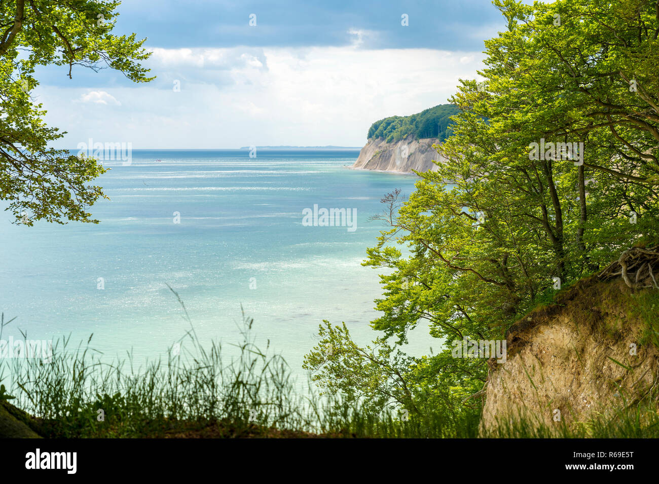 The Chalk Cliffs Between Sassnitz And Stubbenkammer At Kollicker Ufer
