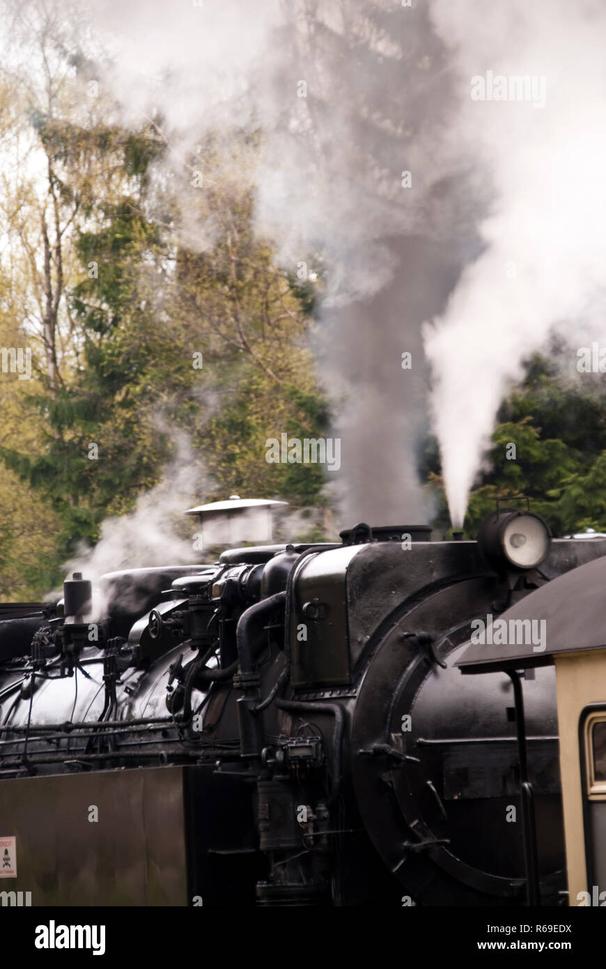 Locomotive In The Harz Mountains Stock Photo