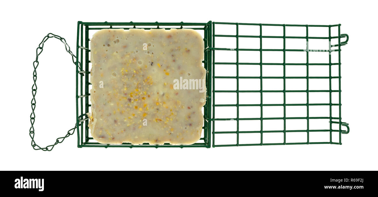 Top view of an open suet basket with a cake of suet inside isolated on a white background. Stock Photo