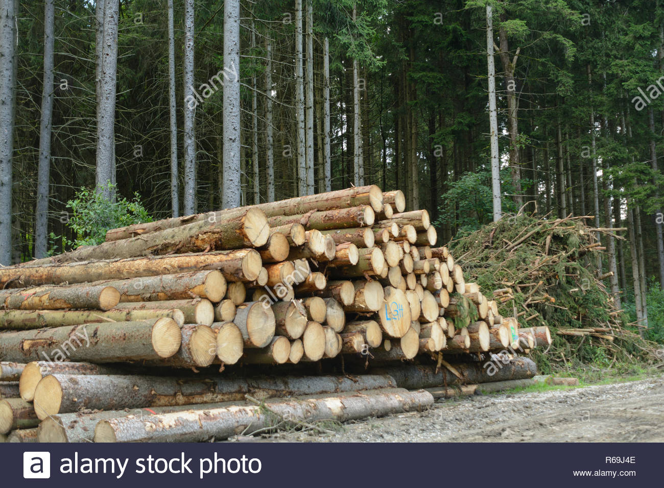 Rundholz Stock Photos & Rundholz Stock Images - Alamy