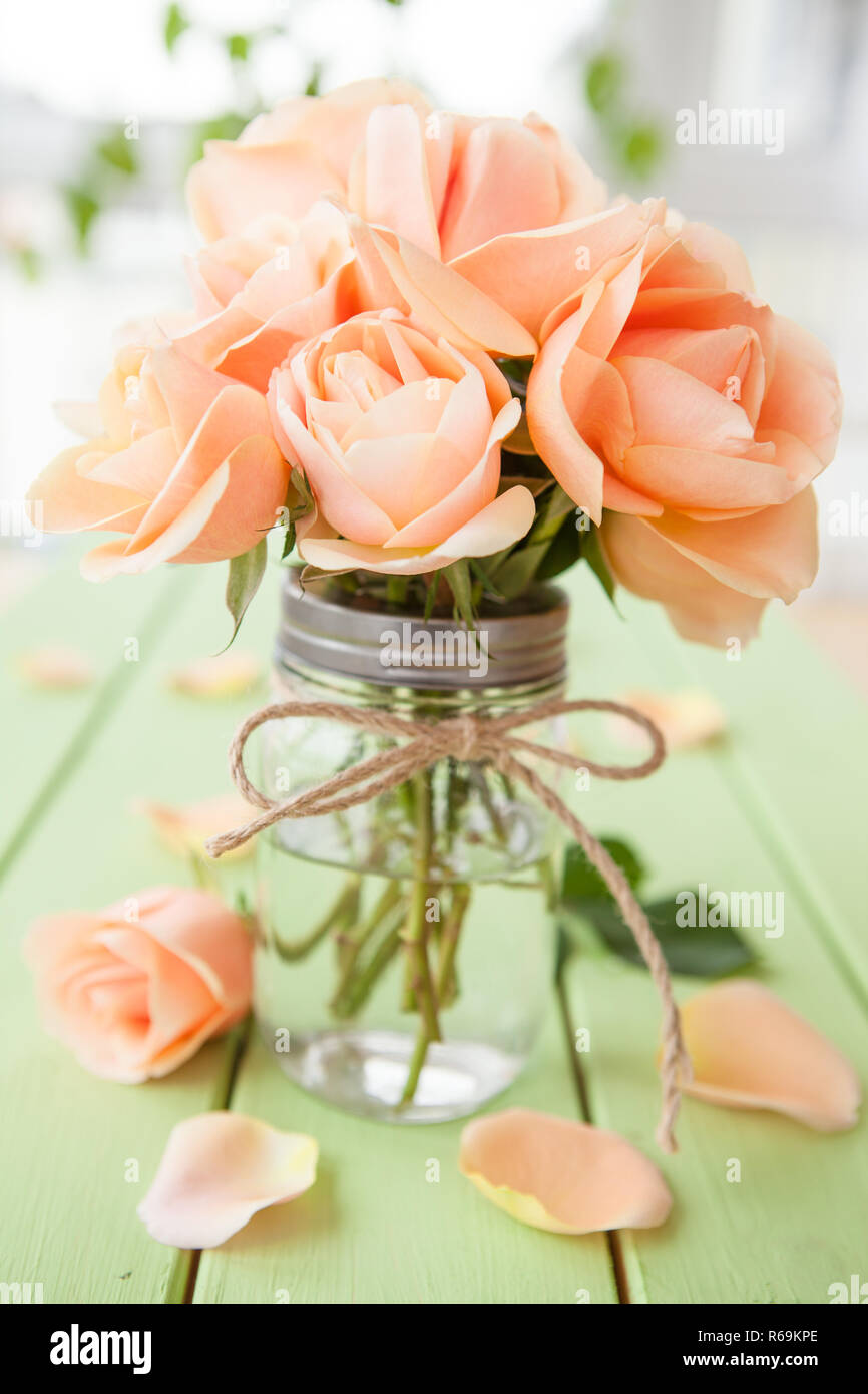 Peach Colored Roses Stock Photo Alamy