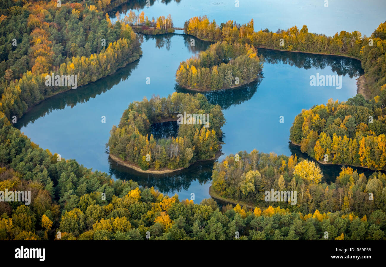 Aerial view, Lake Heidesee, islands with autumn forest, colourful autumn leaves, Kirchhellen, Grafenwald, Bottrop, Ruhr area Stock Photo