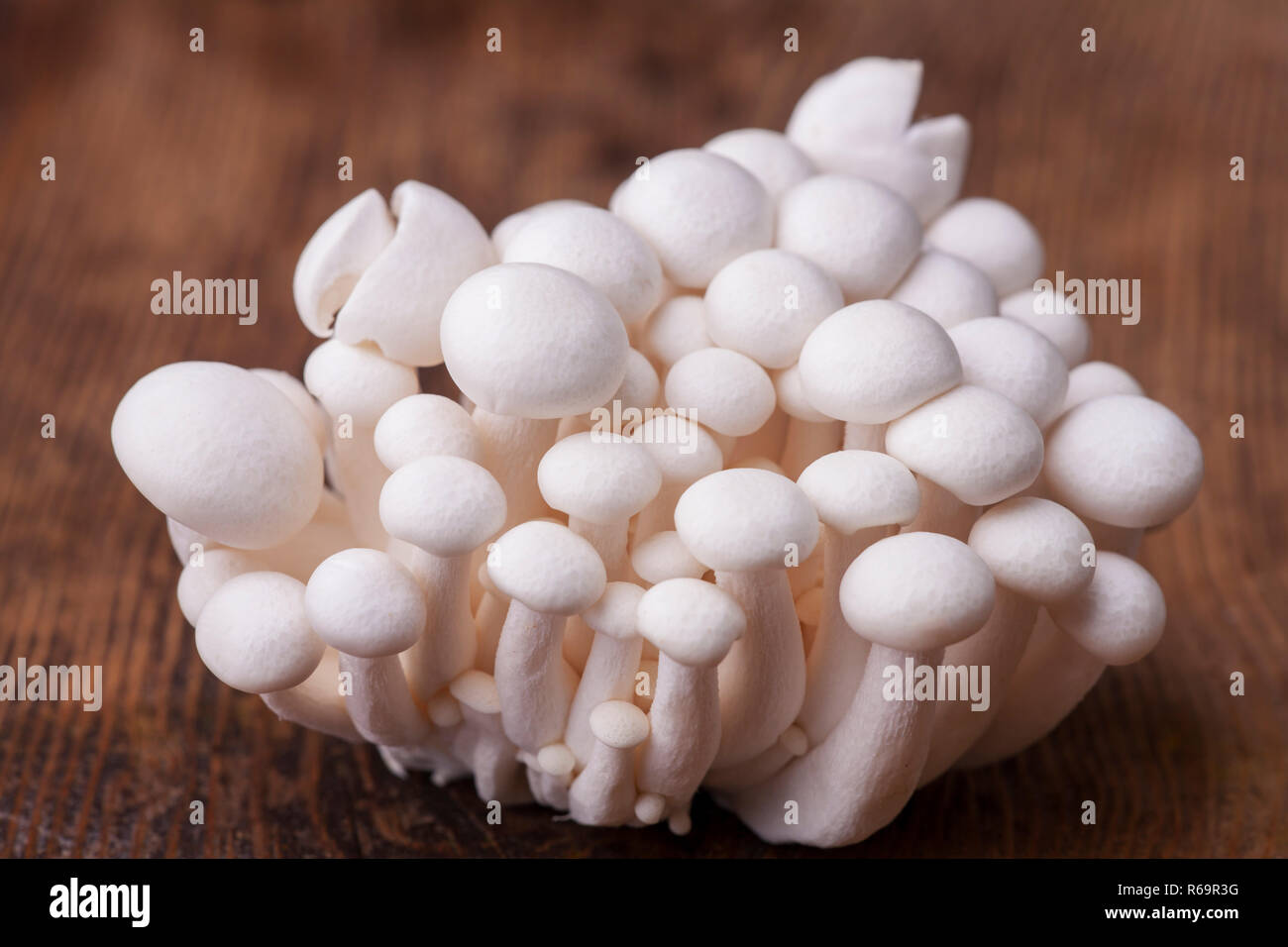 Shimeji Stock Photo - Alamy