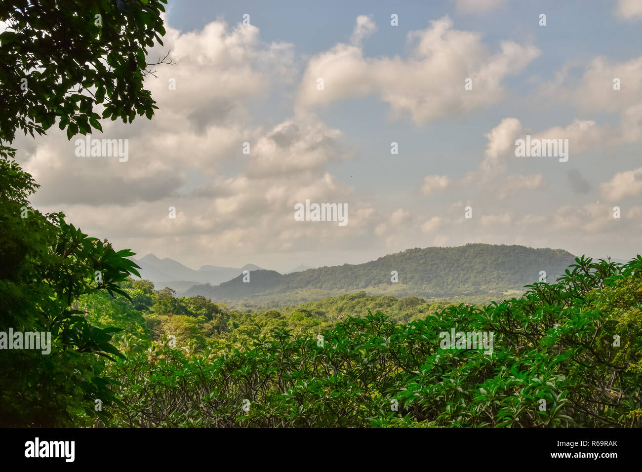 Natur von sri lanka hi-res stock photography and images - Alamy